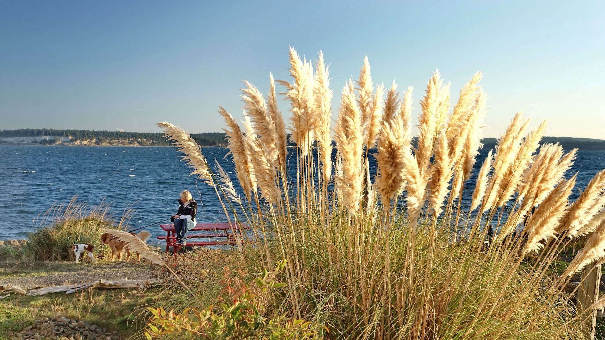 Tides Inn & Suites Port Townsend Eksteriør billede